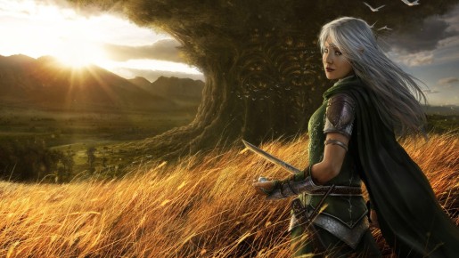 Amazing Fantasy Wallpapers 5 (58)