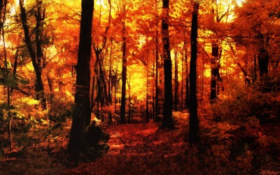 Anime i9487cfgw6 (4180)