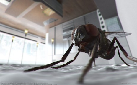 wallpaper_mathias_koehler_01_1920x1200