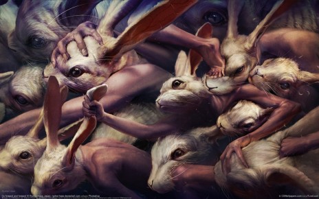 wallpaper_ryohei_hase_05_1920x1200