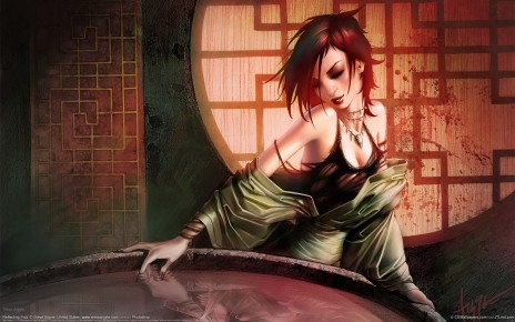 wallpaper_steve_argyle_07_1920x1200