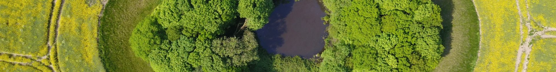 The eye from the sky