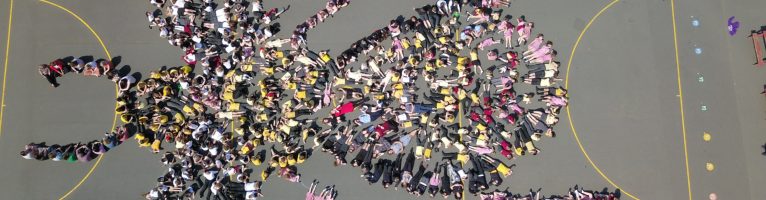 Gorse Hall Primary School – BEE